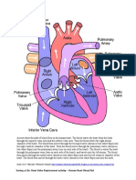 Activity1 Heart