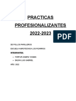 Practicas Profesionalizantes 2022