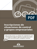 Guia 31 Inscripciones de Situaciones de Control y Grupos Empresariales