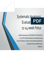 Systematic Evaluation of Fetal Anatomy at 11-14 Weeks