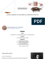 Homeostasis, ¿Cómo Regulan Los Animales Su Ambiente Interno