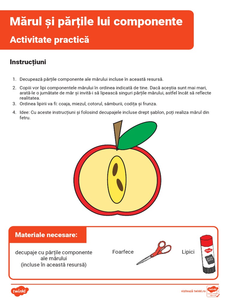 Marul Si Partile Lui Componente - Activitate Practica Color | PDF