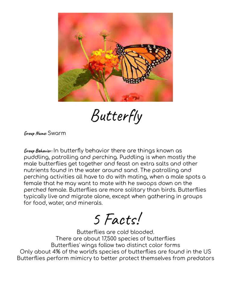 Google Slides Blank Poster | PDF