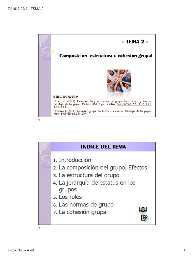 Composición y cohesión en grupos | PDF | Cohesión grupal | Comportamiento