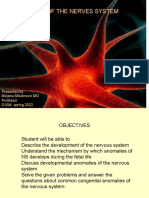 3..0 Lesson NS Development and The Neuron