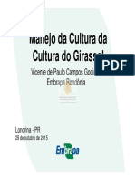 Manejo Da Cultura Do Girassol