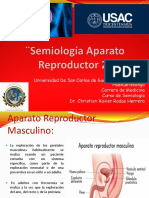 SEMIO APARATO REPRODUCTOR 2 DR