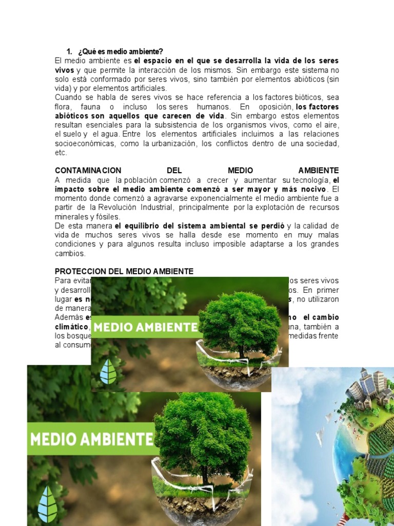 Contaminación y Cuidado del Medio Ambiente | PDF | Contaminación ...