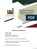 Seminario Incidentes y Tercerías