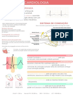 Cardio Flash Pocket