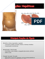 Funções Hepáticas