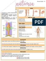 Apuntes Anatomia