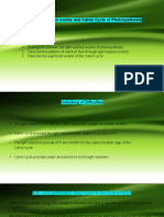 The Light Reaction Events and Calvin Cycle of Photosynthesis