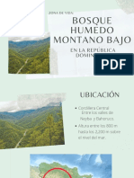 Bosque Humedo Montano Bajo