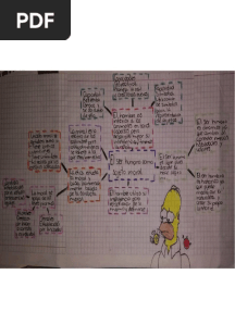 Esquema - El Ser Humano Como Sujeto Moral