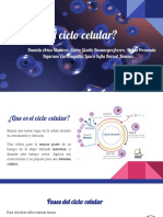 ¿Qué Es El Ciclo Celular - Interfase y Su Importancia para La Reproducción Previa A La Mitosis.