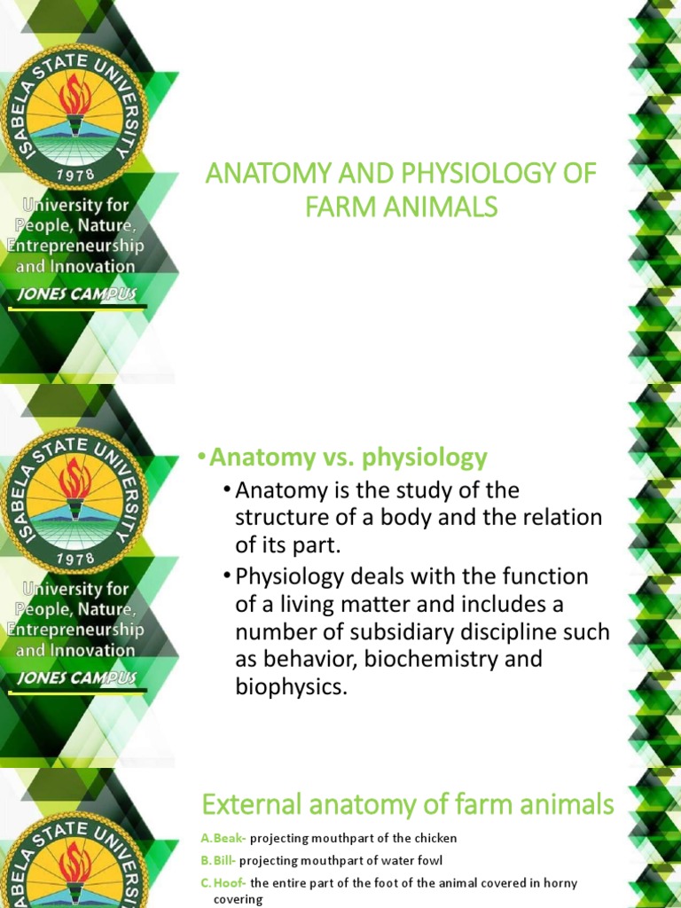Anatomy And Physiology Of Farm Animals 7th Edition By Frandsen Pdf