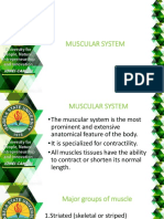 Module 2c - The Muscular System