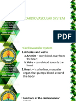 Module 2e - The Cardiovascular System