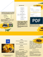 Proceso de extracción de aceite de girasol mediante prensado mecánico