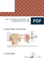 (CSS) Radioanatomy of Cardiovascular - Kelompok 21 Koas Angkatan 2019