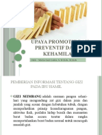 PPPK Iv