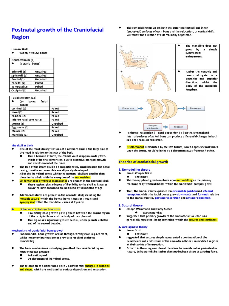 5 Postnatal Growth of The Craniofacial Region Reviewer | PDF | Skull | Bone