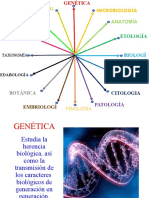 Ramas de La Biologia y Ejemplos 23