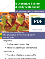 MODULE 23 The Digestive System