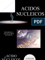 Acidos Nucleicos