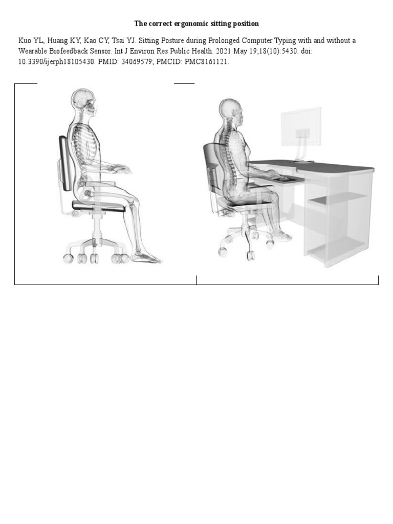 The Correct Ergonomic Sitting Position PDF