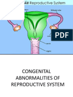 2 Congenital Abnormalities