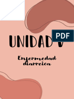 Unidad V