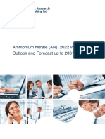 Ammonium Nitrate (An) - 2022 World Market Outlook and Forecast Up To 2031
