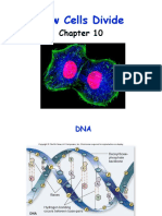 Chapter 10 BIO 1510