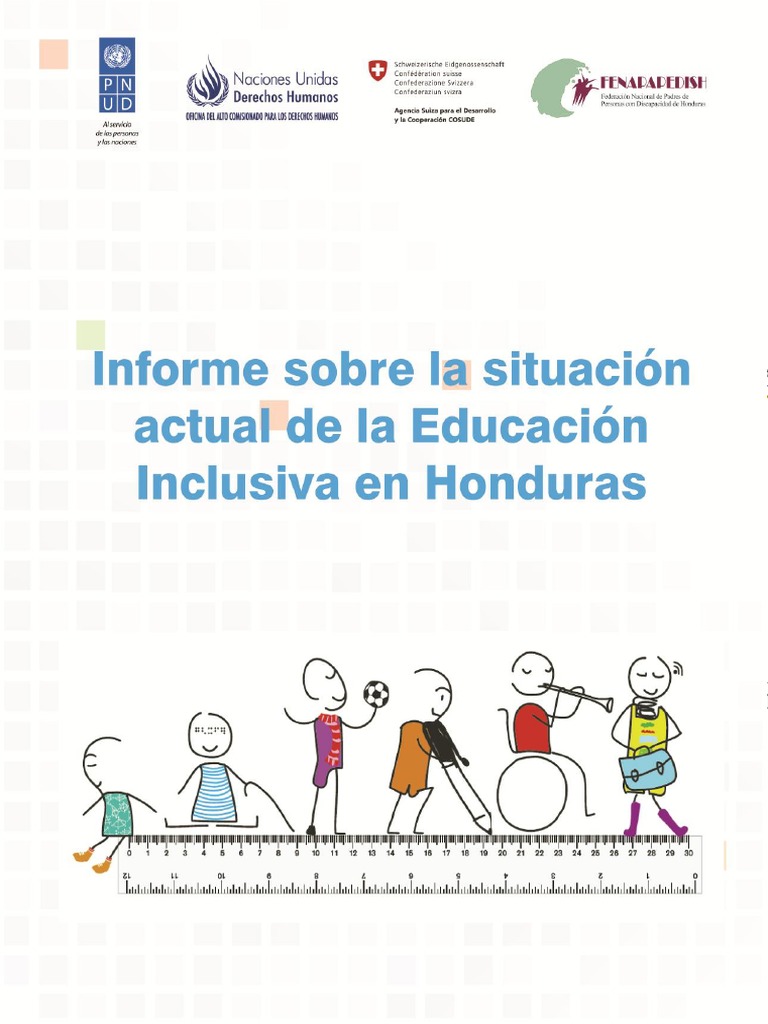 Informe de Educación Inclusiva Fenapapedish 2015 Version Final | PDF ...