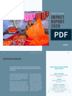 IIV Impact Report 2020
