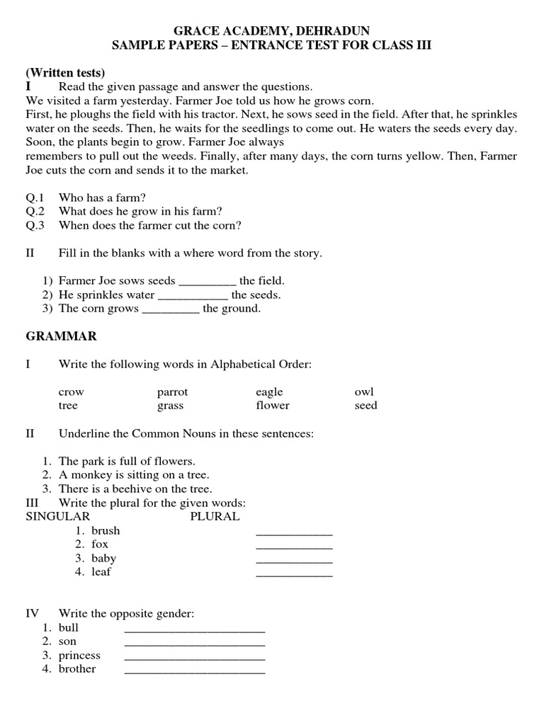 Sample Test Paper For Class III | Download Free PDF | Linguistics