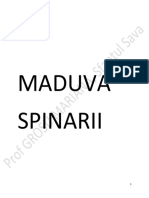 Maduva Spinarii