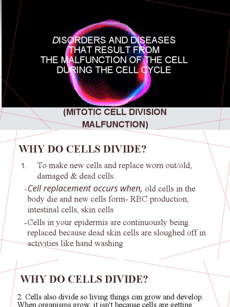 Mitotic Cell Division Malfunction Biology Diagrams