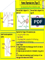 Y7 Homework RAISE Human Reproduction