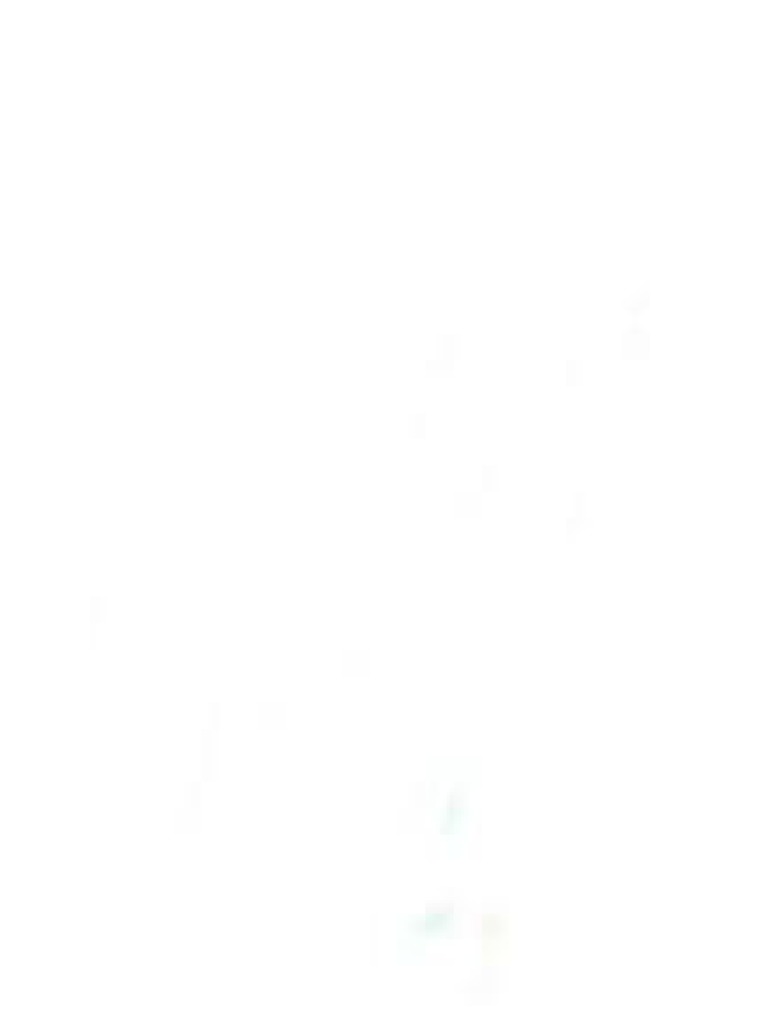 White pdf