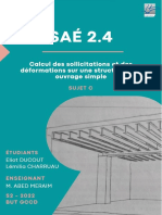Rapport Sae 2