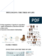 5 Lecture 5 Phylogeny