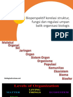 Bioperspektif Korelasi Struktur, Fungsi Dan Regulasi Umpan
