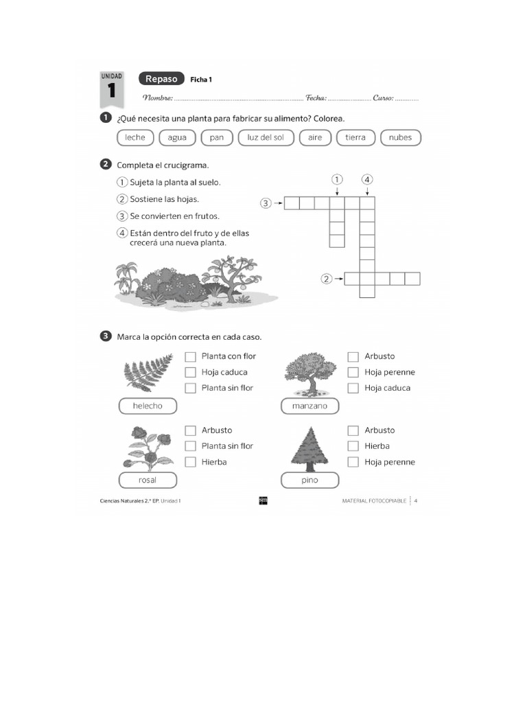 Naturales 2 Primaria | PDF