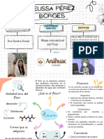 Mapa Conceptual Del Flúor 2.0