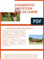 Mejoramiento Genetico en Vacunos de Carne