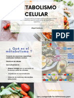 Metabolismo Celular-2