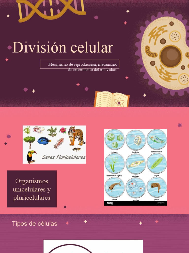 Anatomy and Physiology Major For College Cell Biology by Slidesgo